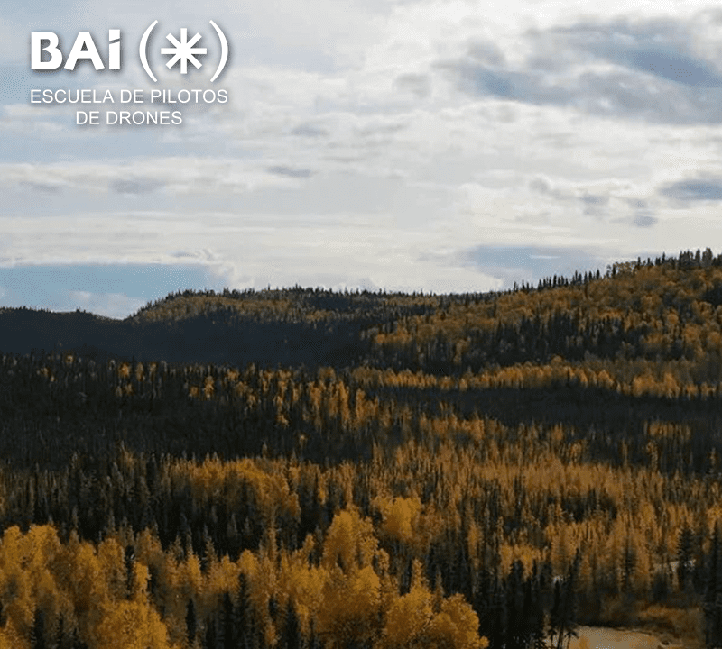 Alaska a vista de Dron